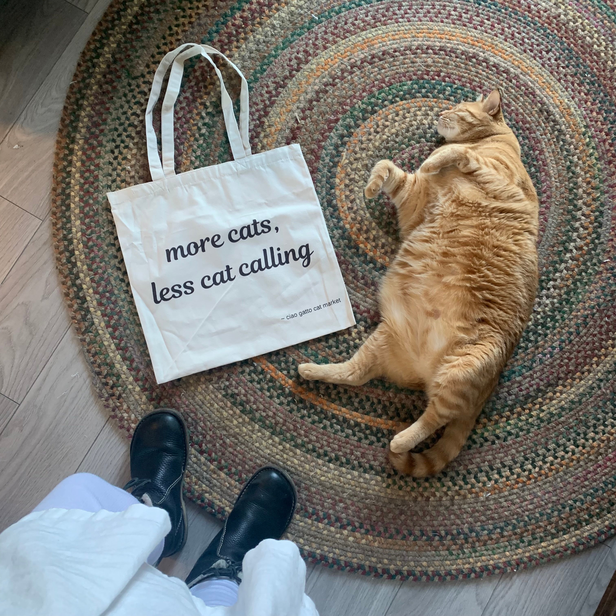 more cats less cat calling ciao gatto cat market