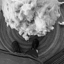 Load image into Gallery viewer, Usa grown organic catnip