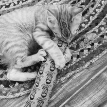 Load image into Gallery viewer, Ciao Gatto Cat Market — The Classic Organic Cat Kicker
The Ultimate in Refined Feline Indulgence
Elevate your cat’s playtime with the Ciao Gatto Classic Organic Cat Kicker — a thoughtfully handcrafted toy designed for the most discerning feline connoisseurs. Every detail is a testament to quality, craftsmanship, and eco-conscious luxury.
Meticulously handcrafted in small batches, each kicker is a celebration of natural luxury: approximately 10” by 2”, designed for rigorous play and effortless indulgence.