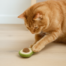 Load image into Gallery viewer, Avogatto Felted Wool Cat Toy
Meet the purrfectly ripe Avogatto—no peeling, no pit danger, just endless play. Each one is needle felted by hand from 100% wool, shaped into a plump little avocado that’s begging to be batted and chased. At about 4 inches long, 2.5 inches wide, and 2 inches thick, it’s sized just right for kitty paws to hug, kick, and carry. Infused with USA-grown organic catnip, the Avogatto tempts your cat with an irresistible scent that sparks playful energy and pure joy.