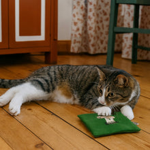 Load image into Gallery viewer, kattprassel cloth wool - shroom bloom - organic catnip crinkle cloth
