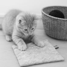 Load image into Gallery viewer, kattprassel cloth - free to be you and me - organic catnip crinkle cloth