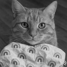 Load image into Gallery viewer, kattprassel cloth - hail to the snail - organic catnip crinkle cloth