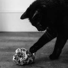 Load image into Gallery viewer, kattprassel cloth - hail to the snail - organic catnip crinkle cloth