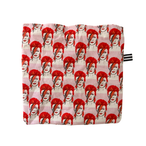 kattprassel cloth - let’s dance david - organic catnip crinkle cloth