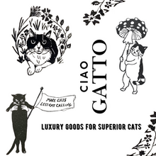 Load image into Gallery viewer, the gatto’s gambit organic catnip cat kicker
