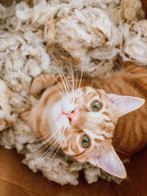 Load image into Gallery viewer, chicken and waffles cat kicker