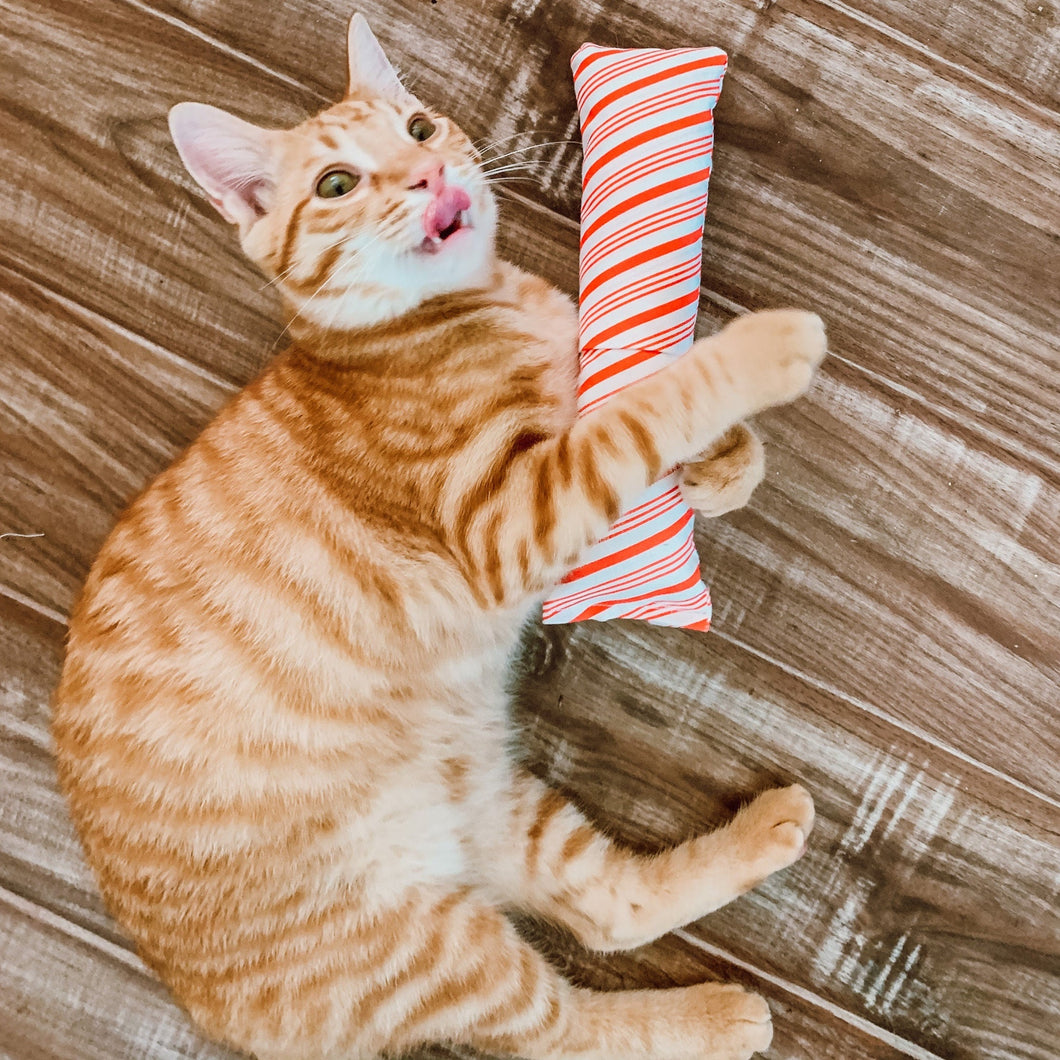 peppermint stick cat kicker
