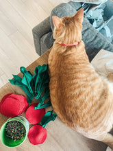 Load image into Gallery viewer, woolen crunchy catnip radish